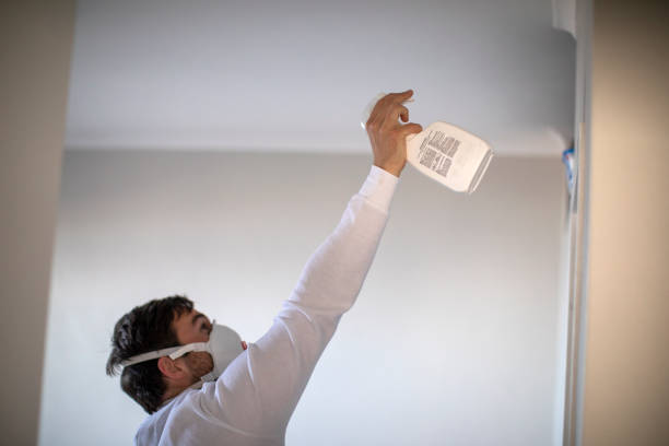 Best Fast Mold Removal  in Rochester Hills, MI