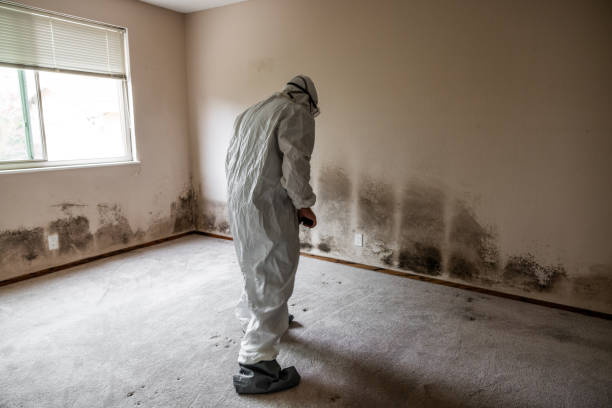 Water Damage Restoration in Rochester Hills, MI